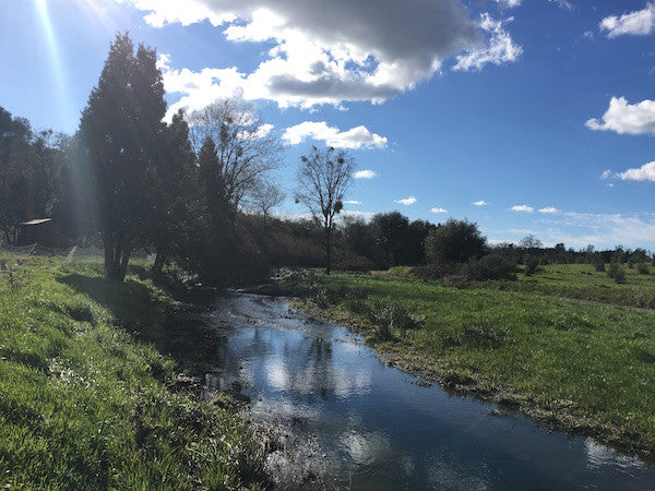 Living Water at Our Lady's Ranch