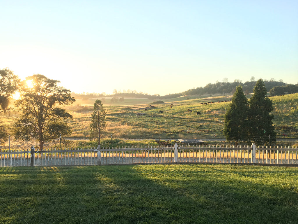 A Work Day at Our Lady's Ranch