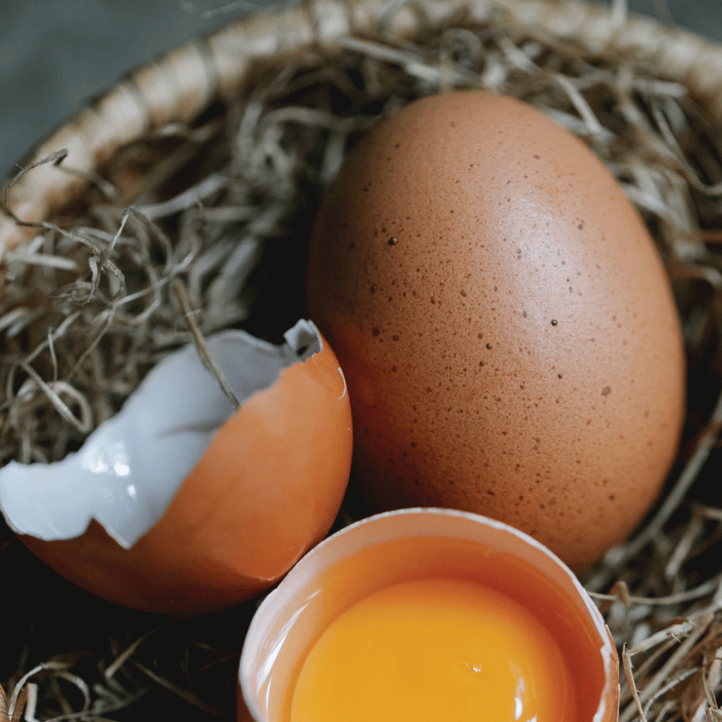 1 Dozen Large Free-Range Eggs - Family Friendly Farms Grass Fed and Pasture Raised Meats